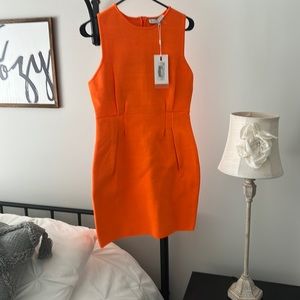 Never worn endless roses dress